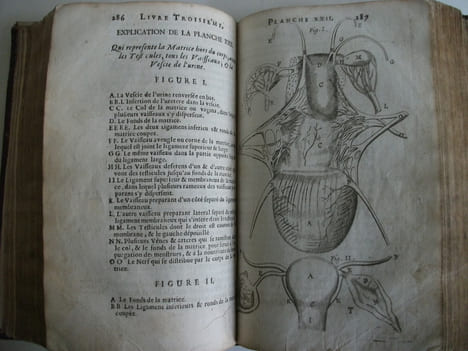 L’anatomie du corps humain . SAINT HILAIRE