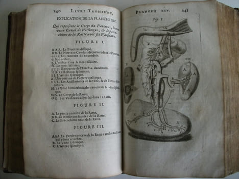 L’anatomie du corps humain . SAINT HILAIRE