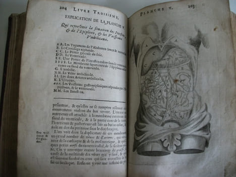 L’anatomie du corps humain . SAINT HILAIRE
