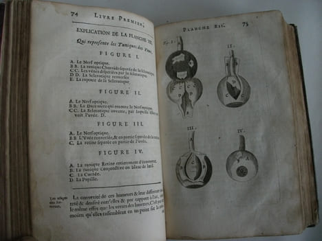 L’anatomie du corps humain . SAINT HILAIRE