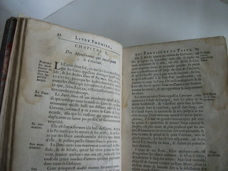 L’anatomie du corps humain . SAINT HILAIRE