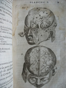 L’anatomie du corps humain . SAINT HILAIRE