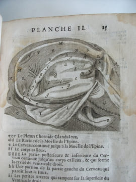 L’anatomie du corps humain . SAINT HILAIRE
