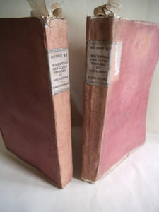 Description des Alpes Pennines ou Rhétiennes dédiées à S.R très chrétienne Roi de France et de Navarre.
