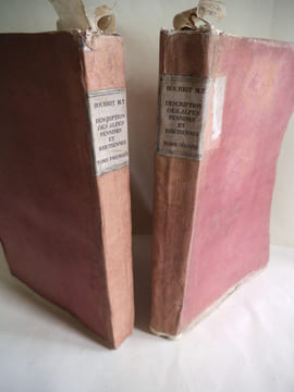 Description des Alpes Pennines ou Rhétiennes dédiées à S.R  très chrétienne Roi de France et de Navarre.. BOURRIT M.T.