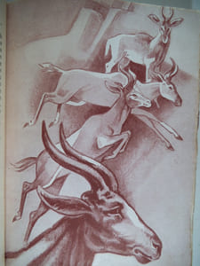 les maîtres de la brousse