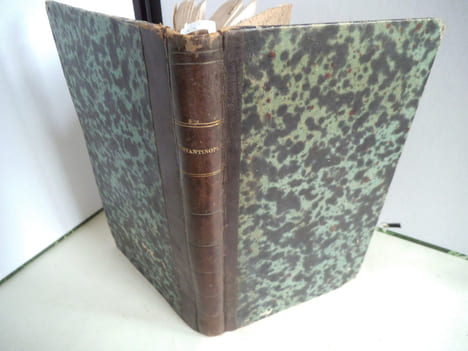Constantinople et l’Egypte(traduit de l’italien)troisième édition revue et corrigée.Par Charles HERTZ.. VIMERCATI