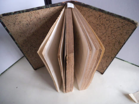 Constantinople et l’Egypte(traduit de l’italien)troisième édition revue et corrigée.Par Charles HERTZ.. VIMERCATI