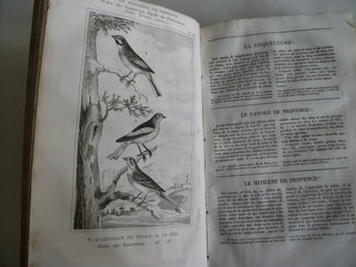Œuvres complètes avec les suppléments augmentés de la classification de G.CUVIER