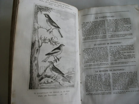 Œuvres complètes avec les suppléments augmentés de la classification de G.CUVIER. BUFFON 