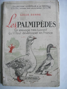 Les palmipèdes un élevage très lucratif. Qu’il faut développer en France.