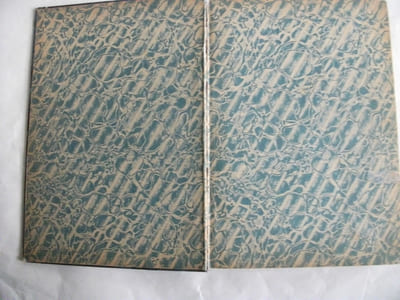 Le journal des Pieds Nickelés