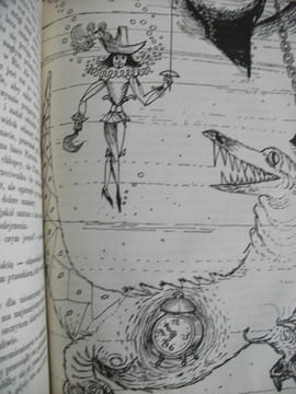 PIOTRUS PAN /PETER PAN . BARRIE J.M