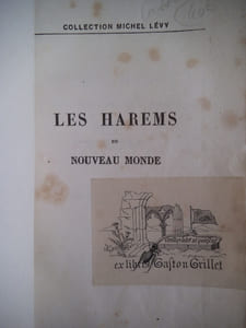 Les harems du Nouveau Monde