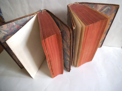 dictionnaire  historique des auteurs ecclésiastiques 