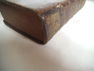 Dictionnaire botanique et pharmaceutique