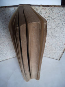 La Grande Mascarade Parisienne