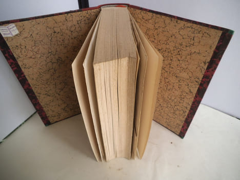 Explorations dans l’intérieur de l’Afrique Australe et voyage à travers le continent de Saint-Paul de Loanda à l’embouchure du Zambèze de 1840 à ...