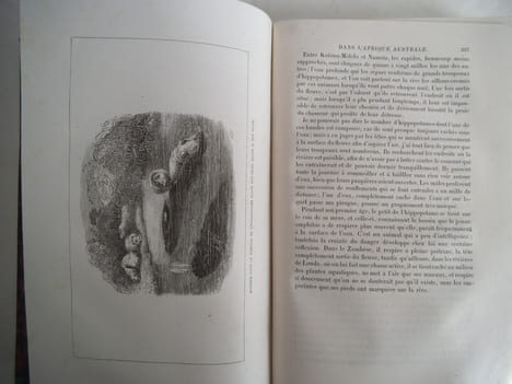 Explorations dans l’intérieur de l’Afrique Australe et voyage à travers le continent de Saint-Paul de Loanda à l’embouchure du Zambèze de 1840 à ...
