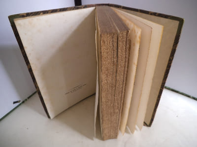 Histoire complète de Louis Napoléon Bonaparte