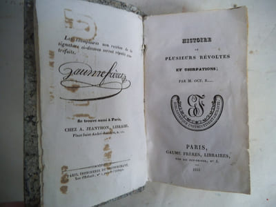 Histoire de plusieurs révoltés ou usurpations.