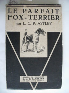 Le parfait Fox-Terrier