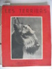 Les Terriers . ECORCHEVILLE Max 