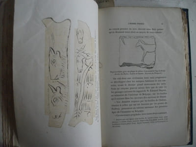 L’homme fossile en Europe