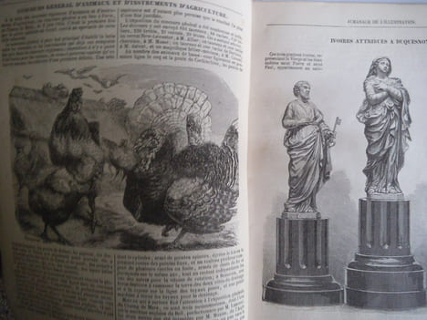 almanach de l’Illustration pour 1855. collectif 