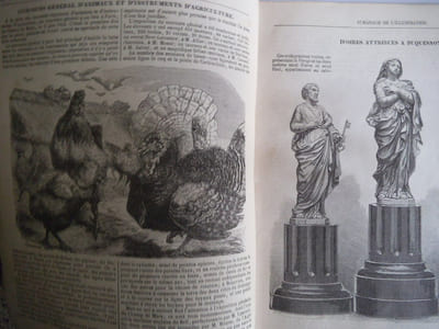 almanach de l’Illustration pour 1855