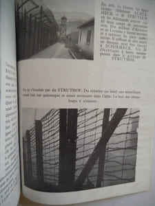 La bataille d’Alsace