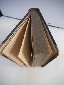 Recherches sur l’origine du Despotisme Oriental.