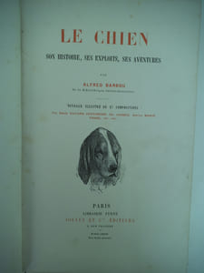 Le chien