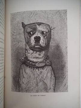 Le chien. BARBOU Alfred