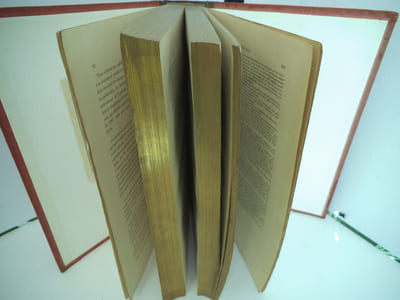 Dictionnaire de la Révolution Française.