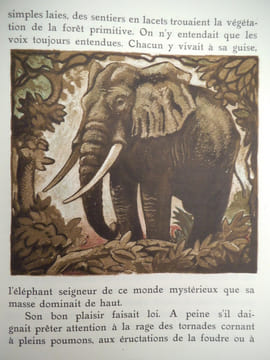 MBALA l’éléphant. MARAN René 