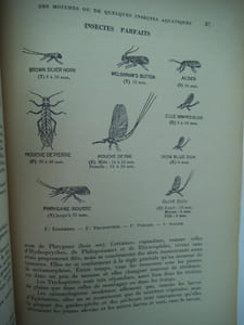 Le livre du pêcheur de truites.