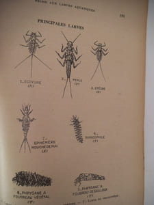 Le livre du pêcheur de truites.
