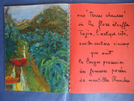 catalogue des grands des vins Nicolas.. Collectif