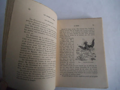 La chasse au marais