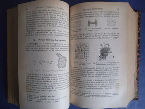 Traité élémentaire de pathologie générale . HALLOPEAU H.