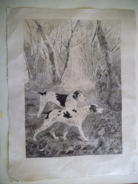 Chiens d’arr&ecirc;t . FOUQUET-DORVAL