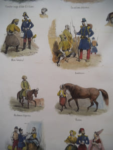 Motifs Algériens