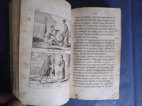 Beautés de l’histoire d’Amérique. anonyme