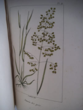 Traité des prairies naturelles et artificielles . BOITARD