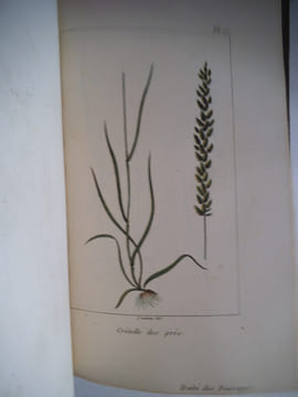 Traité des prairies naturelles et artificielles . BOITARD