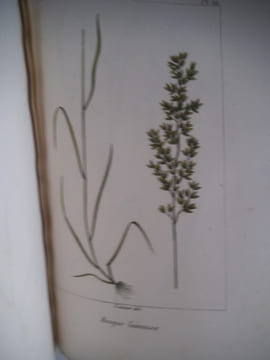 Traité des prairies naturelles et artificielles . BOITARD