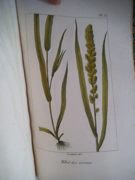 Traité des prairies naturelles et artificielles . BOITARD