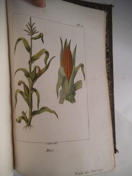 Traité des prairies naturelles et artificielles . BOITARD