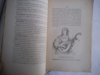 Dictionnaire pratique et raisonné des instruments de musique anciens et modernes